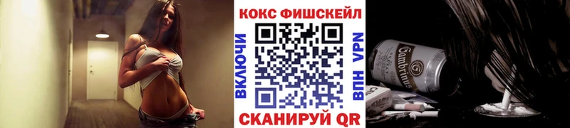 Кокаин Fish Scale  mega вход  Инсар 