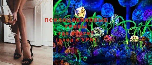 спиды Арсеньев