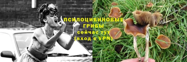 прущие крисы Армянск